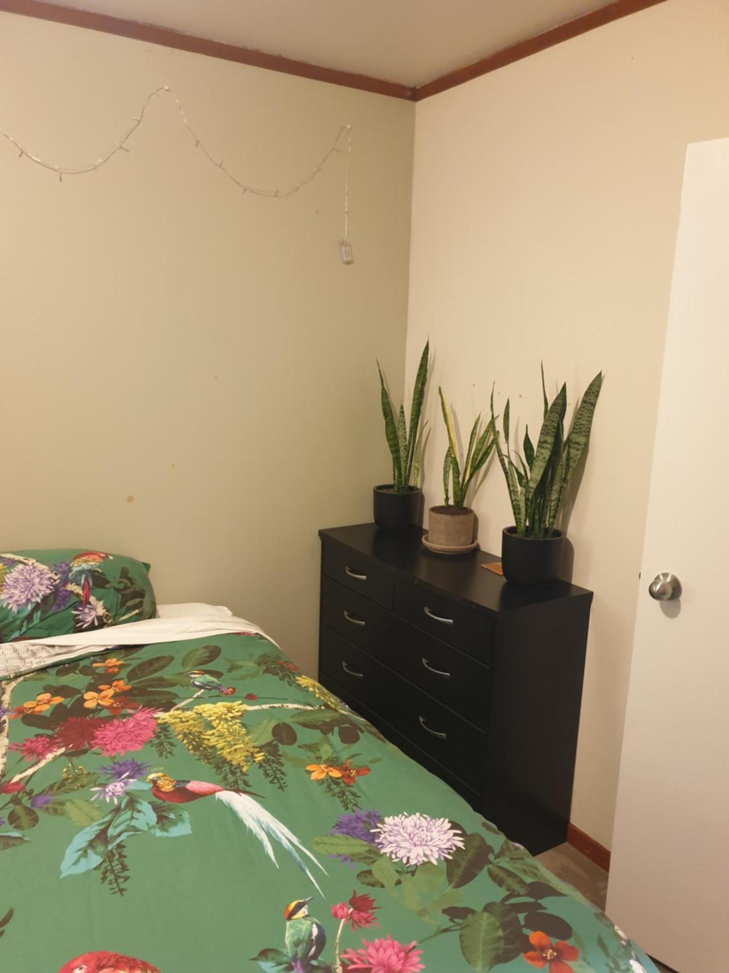 The Grays Apartment Whangarei Bagian luar foto